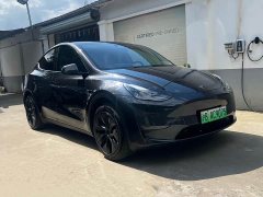 Tesla Model Y Long Range All-Wheel Drive - ფოტო 3