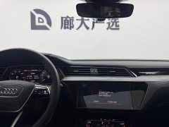 Audi e-tron 2021 50 quattro Premium - ფოტო 11