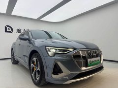 Audi e-tron 2021 50 quattro Premium - ფოტო 3