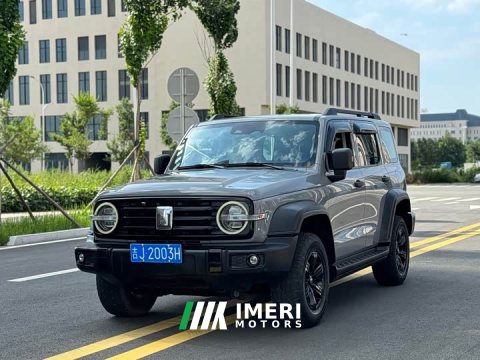 2021 Tank 300 Off-Road Edition 2.0T Challenger - ავტომობილი ჩინეთიდან