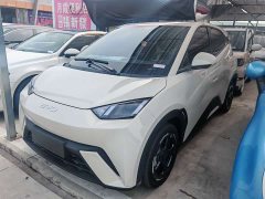 BYD Seagull Glory Edition 305km Freedom Version - ფოტო 1
