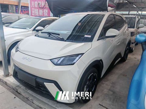 2024 BYD Seagull Glory Edition 305km Freedom Version - ავტომობილი ჩინეთიდან