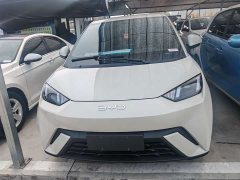 BYD Seagull Glory Edition 305km Freedom Version - ფოტო 9