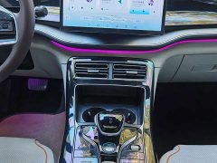 BYD Qin PLUS Glory Edition DM-i 120KM Excellence - ფოტო 8