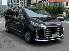 Maxus G20 2021 PLUS 2.0T Petrol Automatic Luxury - ფოტო 3