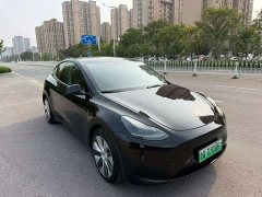 Tesla Model Y 2022 Rear-Wheel Drive - ფოტო 2