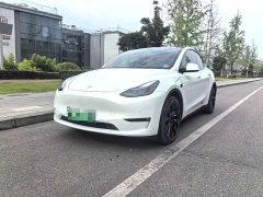 Tesla Model Y Long Range All-Wheel Drive - ფოტო 1