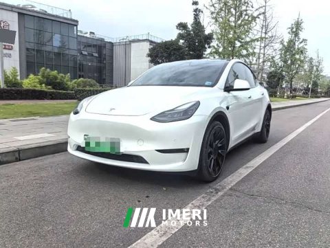 2021 Tesla Model Y Long Range All-Wheel Drive - ავტომობილი ჩინეთიდან