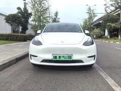 Tesla Model Y Long Range All-Wheel Drive - ფოტო 2