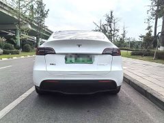 Tesla Model Y Long Range All-Wheel Drive - ფოტო 8
