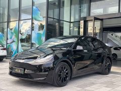 Tesla Model Y 2021 Standard Range RWD - ფოტო 1