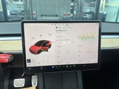 Tesla Model Y 2021 Standard Range RWD - ფოტო 17