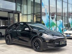 Tesla Model Y 2021 Standard Range RWD - ფოტო 3