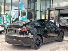 Tesla Model Y 2021 Standard Range RWD - ფოტო 4
