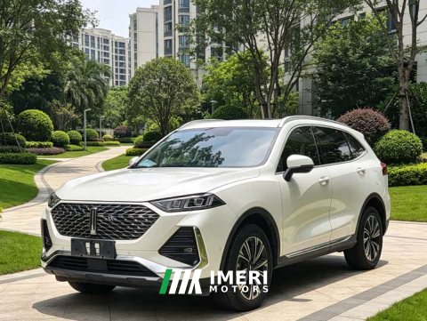 2022 Great Wall Wei Brand Latte DHT 1.5T DHT Ultra Cup - ავტომობილი ჩინეთიდან