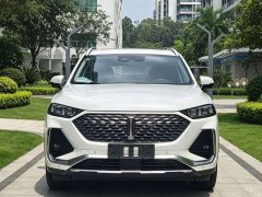 Great Wall Wei Brand Latte DHT 1.5T DHT Ultra Cup - ფოტო 2