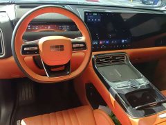 Geely Galaxy M9 2025 230km Two-Wheel Drive Explorer Edition - ფოტო 10