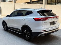 Haval H6 2021 National Trend Edition 1.5T Automatic Urban Version - ფოტო 6