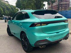 Dongfeng Fengxing T5 EVO 2021 1.5T Diesel DCT Platinum Edition - ფოტო 17