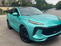 Dongfeng Fengxing T5 EVO 2021 1.5T Diesel DCT Platinum Edition - ფოტო 3