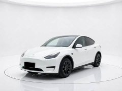 Tesla Model Y Rear-Wheel Drive - ფოტო 1