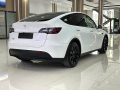 Tesla Model Y Rear-Wheel Drive - ფოტო 10