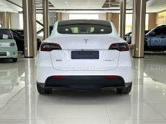Tesla Model Y Rear-Wheel Drive - ფოტო 9