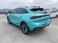 Dongfeng Fengxing T5 EVO 2021 1.5TD DCT Goddess Edition - ფოტო 8