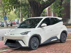 BYD Seagull 2023 Vitality Edition - ფოტო 1