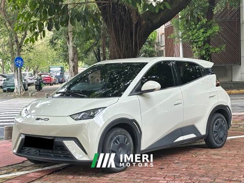 2024 BYD Seagull 2023 Vitality Edition - ავტომობილი ჩინეთიდან