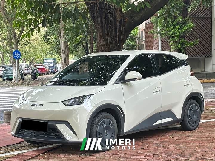 BYD Seagull Vitality Edition