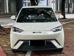BYD Seagull 2023 Vitality Edition - ფოტო 2