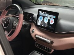 BYD Seagull 2023 Vitality Edition - ფოტო 9