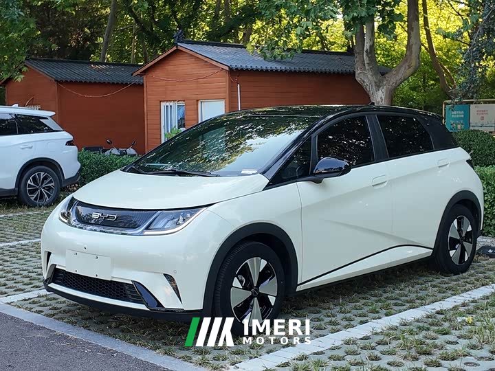 BYD Dolphin 420km Fashion Edition - ავტომობილი ჩინეთიდან