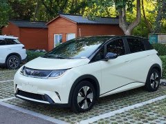 BYD Dolphin 420km Fashion Edition - ფოტო 1