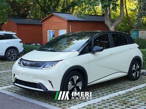 2023 BYD Dolphin 420km Fashion Edition - ავტომობილი ჩინეთიდან