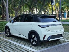 BYD Dolphin 420km Fashion Edition - ფოტო 14