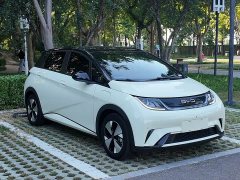 BYD Dolphin 420km Fashion Edition - ფოტო 2