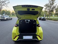 BYD Seagull Glory Edition 405km Flying Edition - ფოტო 8