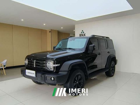 2021 Tank 300 Off-Road Edition 2.0T Challenger - ავტომობილი ჩინეთიდან