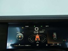 Tank 300 Off-Road Edition 2.0T Challenger - ფოტო 8