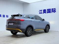 Haval H6 2021 National Trend Edition 1.5T Automatic Urban Version - ფოტო 19