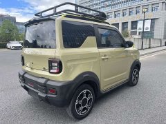 Geely Panda 200km Panda Knight - ფოტო 17