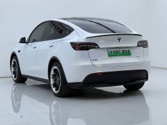 Tesla Model Y Rear-Wheel Drive - ფოტო 5