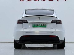 Tesla Model Y Rear-Wheel Drive - ფოტო 6