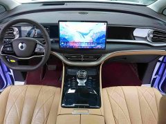 Denza BYD Denza D9 DM-i 980 Four-Wheel Drive Premium - ფოტო 10