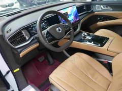 Denza BYD Denza D9 DM-i 980 Four-Wheel Drive Premium - ფოტო 8