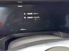 Tank 300 Off-Road Edition 2.0T Challenger - ფოტო 10