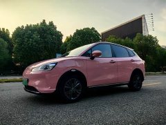Neta V 2021 Long-Range Industry Custom Edition - ფოტო 1