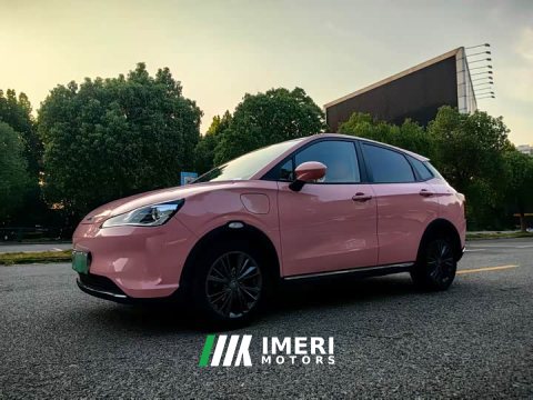 2022 Neta V 2021 Long-Range Industry Custom Edition - ავტომობილი ჩინეთიდან